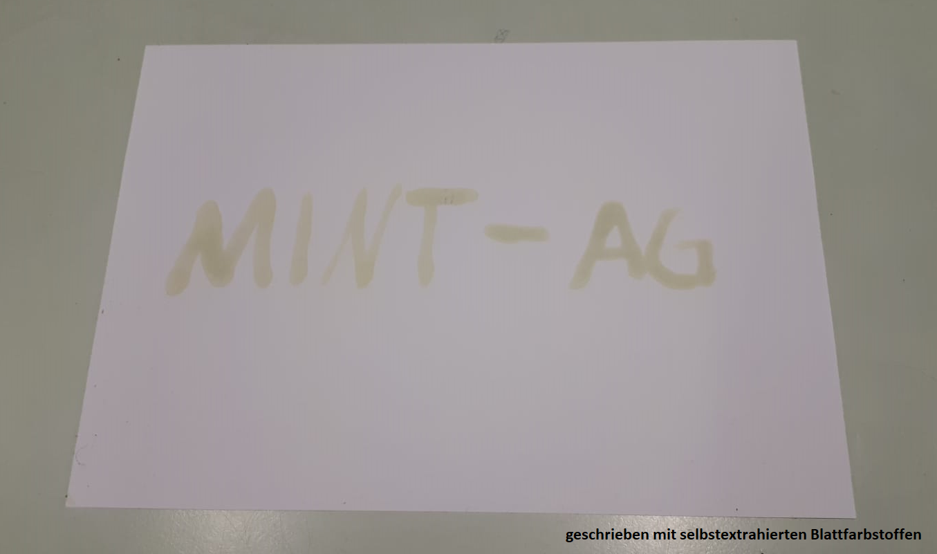 MINT-AG.png